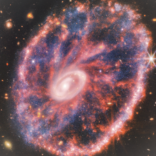 A Spec in Time Series